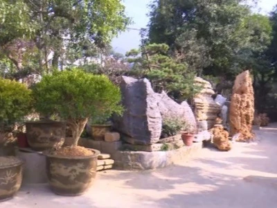 The Orinstone Journey: Forged in The Stone Village, Crafted For The World
