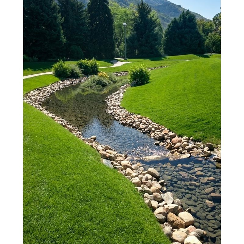 pond-surround-stones-underwater.jpg