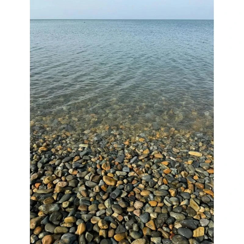 smooth-pond-border-stones-texture.jpg