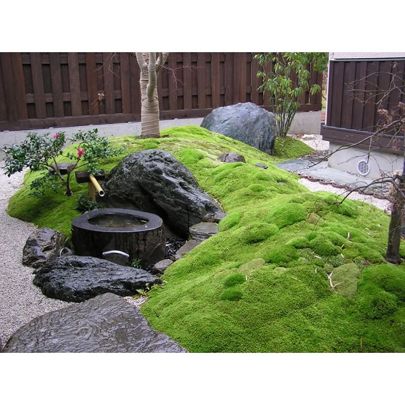 natural-stone-bird-bath-wildlife-garden.jpg