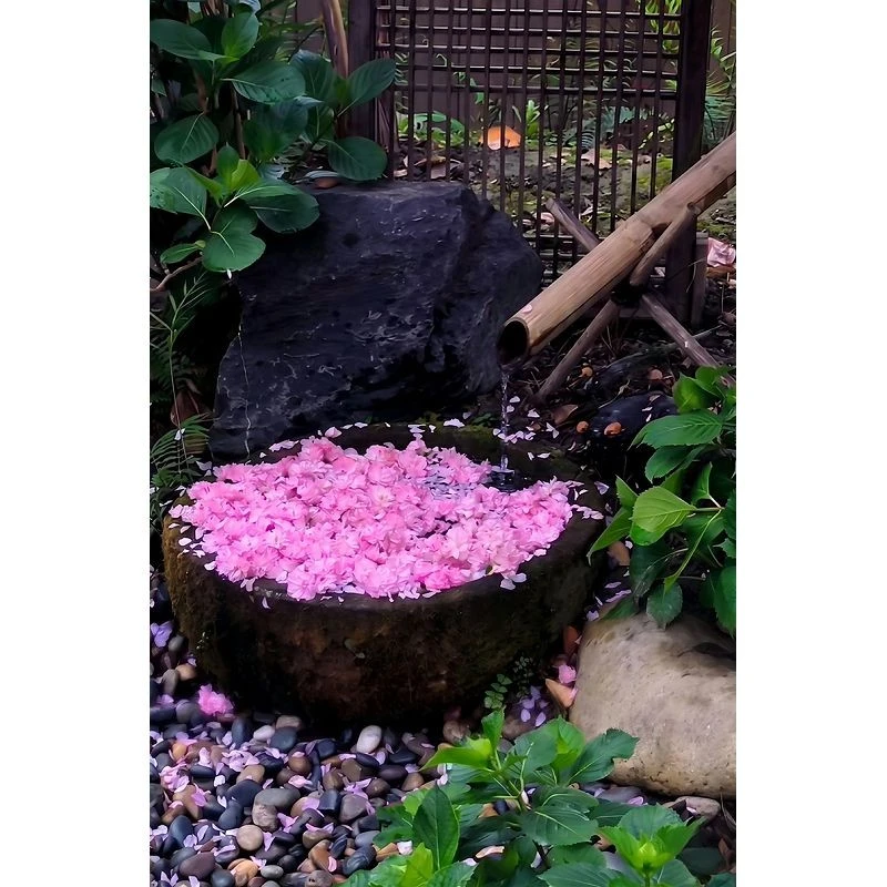 hand-carved-stone-bird-bath-rim.jpg