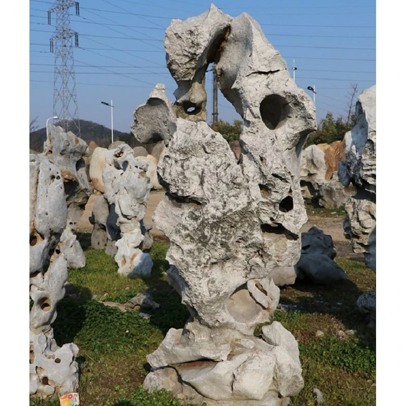 porous-grey-taihu-rockery-stone-texture.jpg